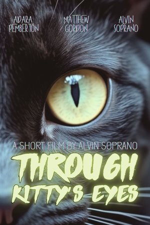 Through Kitty’s Eyes Through Kitty’s Eyes