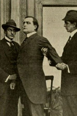 Alexia's Strategy Alexia's Strategy