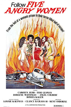 Women Unchained Women Unchained