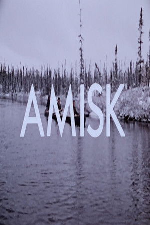 Amisk Amisk