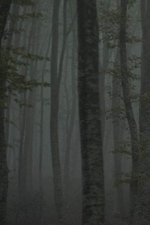 Refuge II: The Ice Path Refuge II: The Ice Path