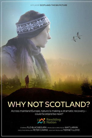 Why Not Scotland?