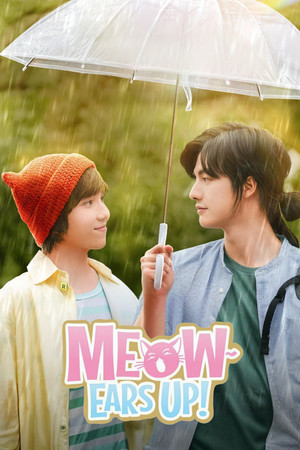 Meow Ears Up! Meow Ears Up!