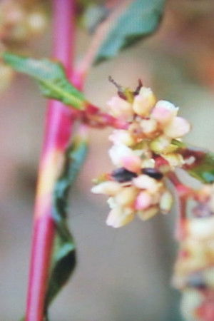 Hunting Confessions Hunting Confessions