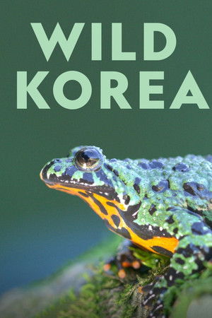 Wild Korea Wild Korea