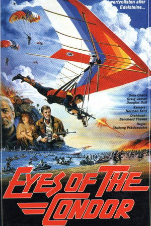 Eyes of the Condor Eyes of the Condor