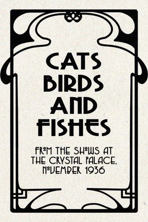 Cats, Birds and Fishes Cats, Birds and Fishes