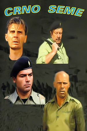 Black Seed Black Seed