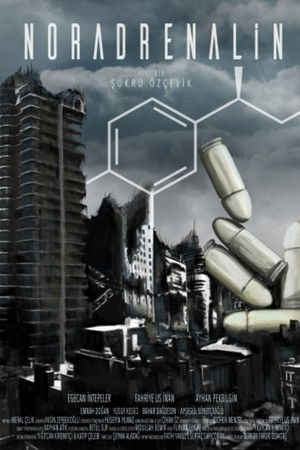 Noradrenalin Noradrenalin