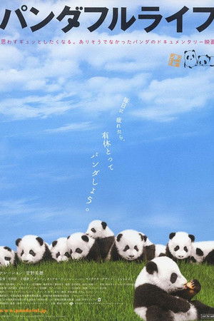 Panda Days Panda Days