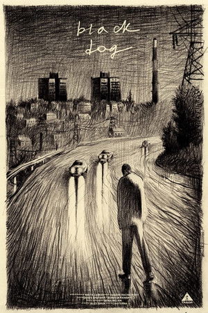 Black Dog Black Dog