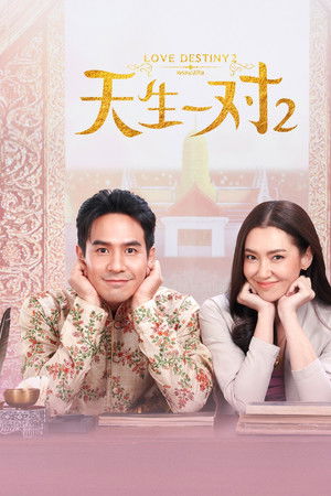 天生一对2优酷版