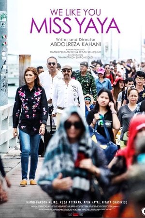 We Like You Miss Yaya We Like You Miss Yaya