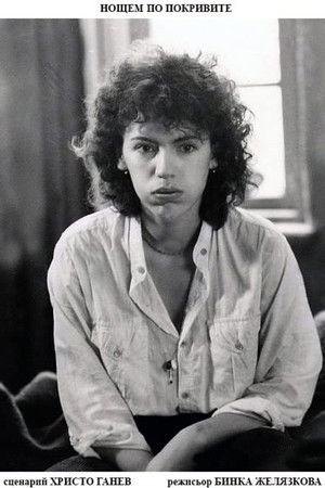 On the Roofs at Night