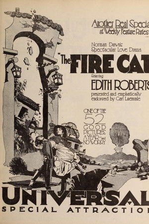 The Fire Cat The Fire Cat