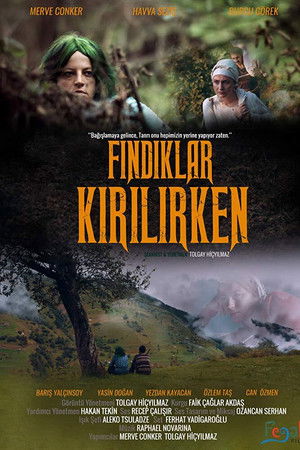 Fındıklar Kırılırken Fındıklar Kırılırken