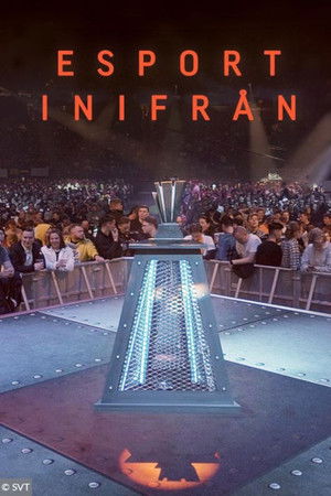 E-sports from within