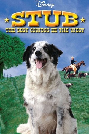 Stub, the Best Cow Dog in the West Stub, the Best Cow Dog in the West