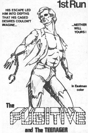 The Fugitive and the Teenager The Fugitive and the Teenager