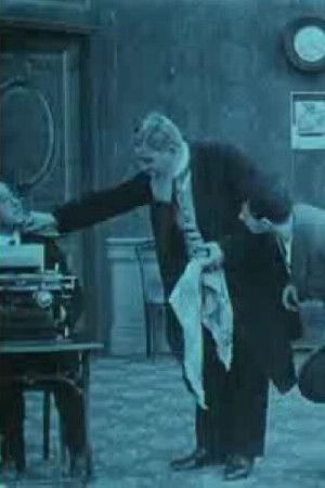 Polidor senza colletto