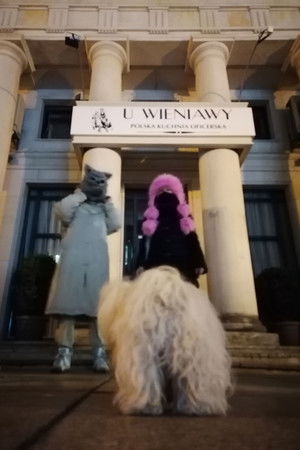 D'Vinci Testa Rosa Now D'Vinci Testa Rosa Now