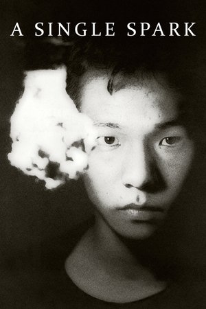 A Single Spark A Single Spark