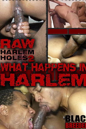 Raw Harlem Holes 2: What Happens in Harlem