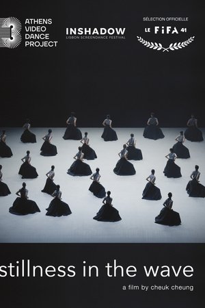 Stillness in the Wave Stillness in the Wave