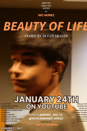 Beauty of Life Beauty of Life