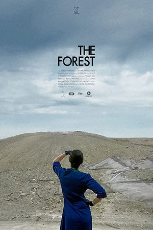 The Forest The Forest