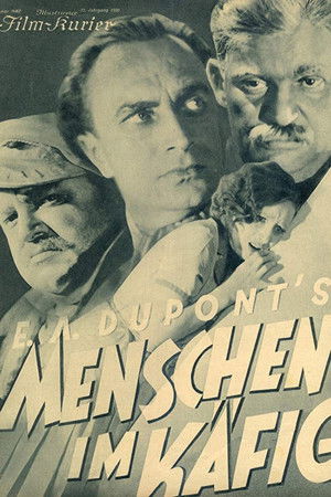 The Love Storm The Love Storm