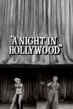 A Night in Hollywood A Night in Hollywood