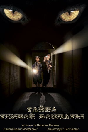 A Dark Room Mystery A Dark Room Mystery