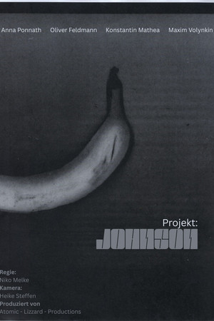 Projekt: Johnson