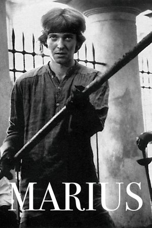 Marius
