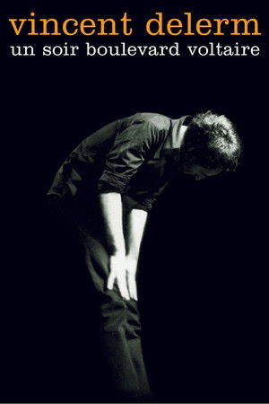 Vincent Delerm - Un soir boulevard Voltaire
