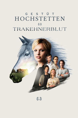 Trakehnerblut Trakehnerblut