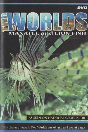 Two Worlds Two Worlds