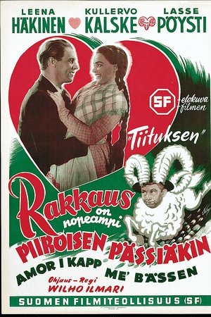 Rakkaus on nopeampi Piiroisen pässiäkin Rakkaus on nopeampi Piiroisen pässiäkin
