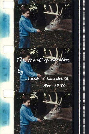 The Hart of London The Hart of London