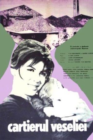 Merriment Ward Merriment Ward