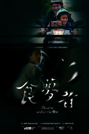 Shadow Under the Bed Shadow Under the Bed