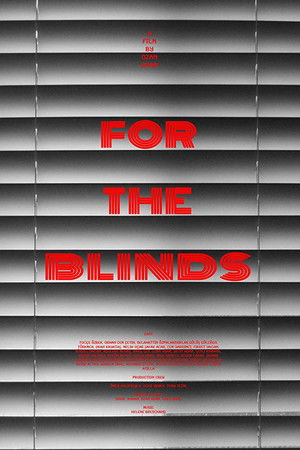 For the Blinds