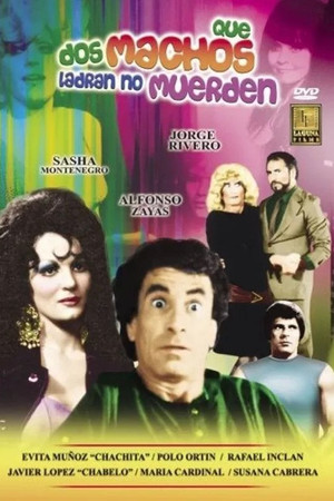 Dos machos que ladran no muerden Dos machos que ladran no muerden