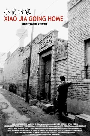 Xiao Jia Going Home Xiao Jia Going Home