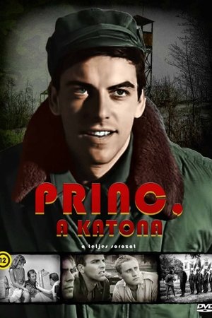 Princ, a katona