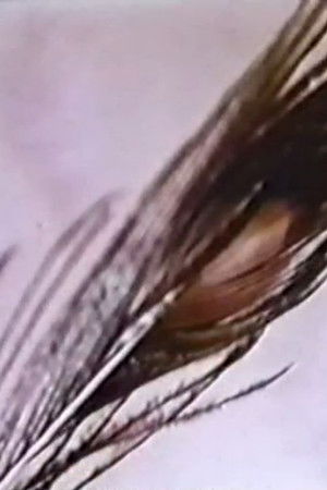 Sexual Meditation: Faun's Room, Yale Sexual Meditation: Faun's Room, Yale