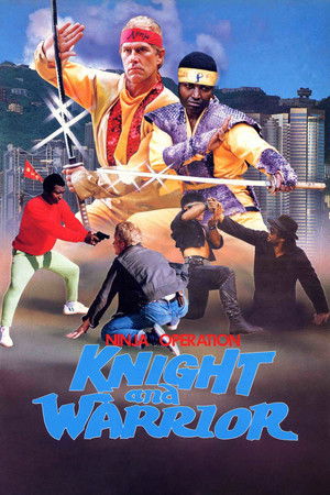 Ninja Operation - Knight and Warrior Ninja Operation - Knight and Warrior