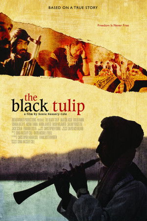 The Black Tulip The Black Tulip