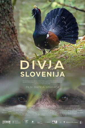 Wild Slovenia Wild Slovenia